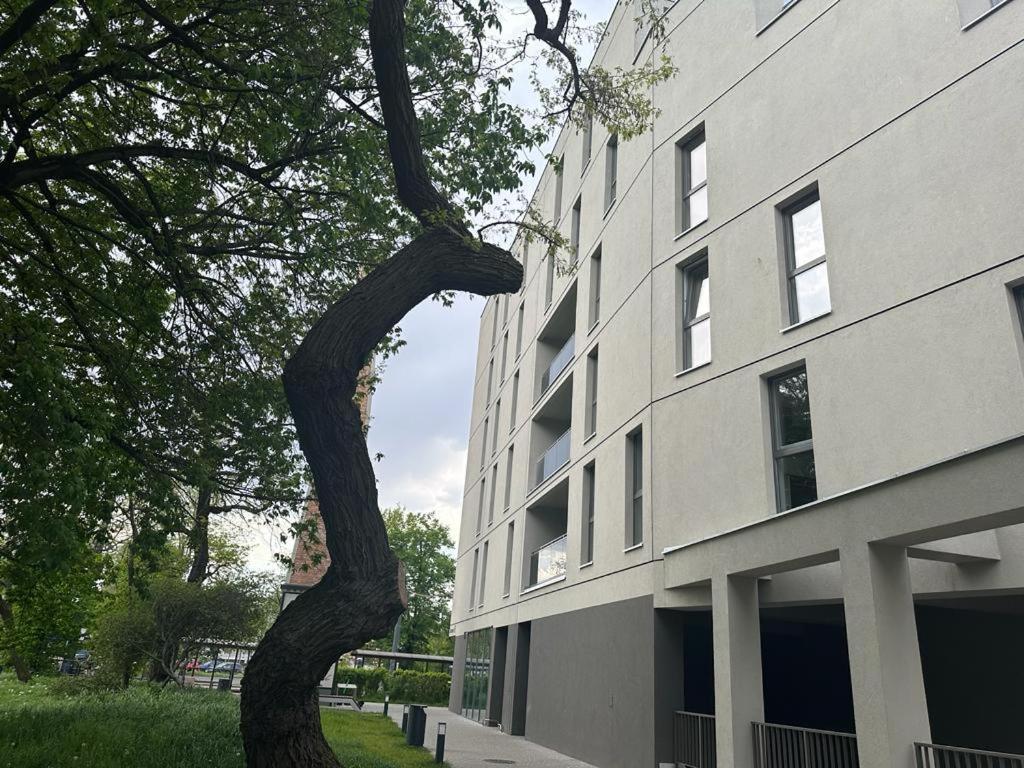 Apartament Centrum II Bydgoszcz Buitenkant foto